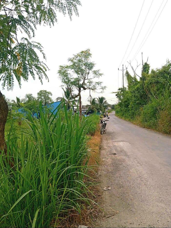 Hình ảnh bán (25x20) mặt tiền HL07 Gia Thuận, tỉnh Đồng Tháp mới. 1