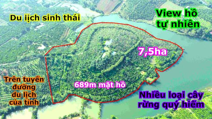 Hình ảnh Đảo trái tim 7,5ha giá rẻ đẹp nhất trung tâm Gia Nghĩa, thích hợp du lịch 0