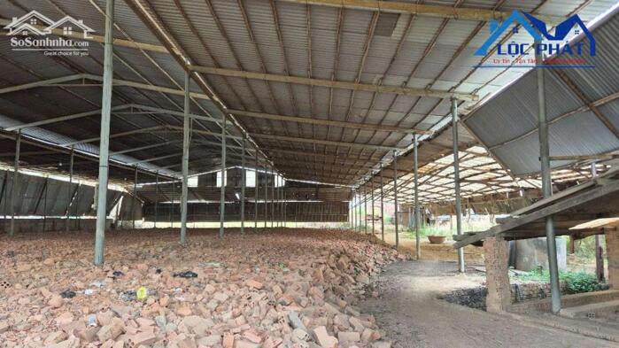 Hình ảnh Bán đất tặng nhà Xưởng tại Phường Long Hưng dt 4500m2 giá 63 tỷ 1