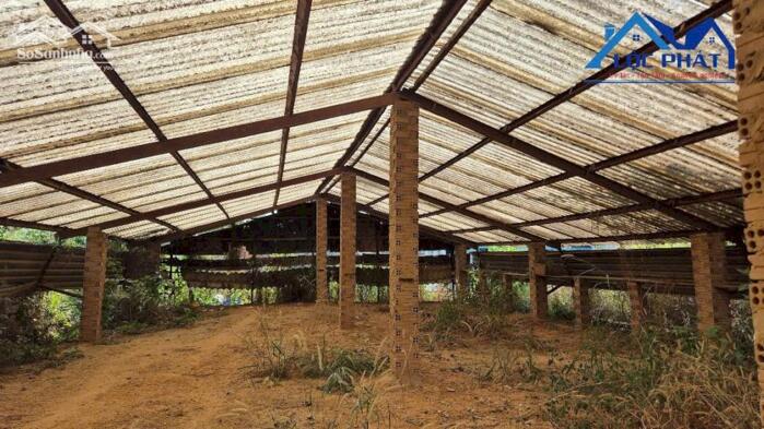 Hình ảnh Bán đất tặng nhà Xưởng tại Phường Long Hưng dt 4500m2 giá 63 tỷ 3