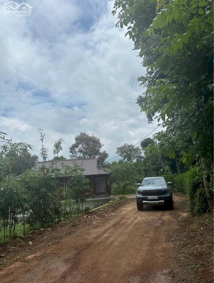 Hình ảnh Bán đất phường Tân Lập( Hoà Thắng cũ ) giá chỉ 1.050 tỷ 1