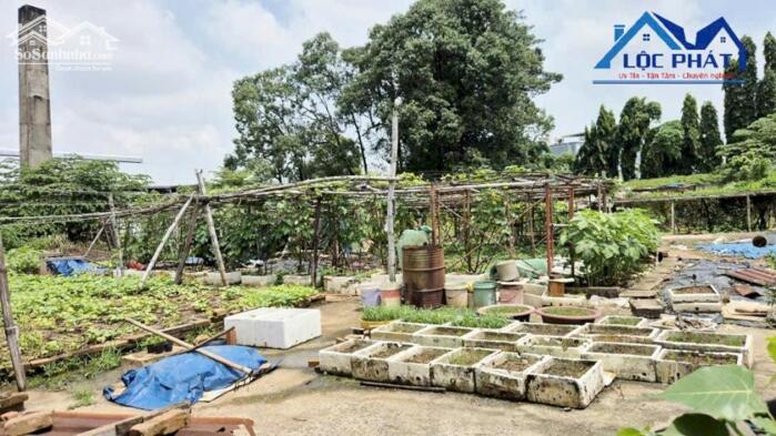 Hình ảnh Bán đất 2 mặt tiền đường tại Phường Long Hưng Đồng Nai 4