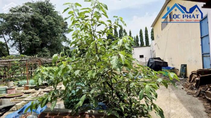 Hình ảnh Bán đất 2 mặt tiền đường tại Phường Long Hưng Đồng Nai 0