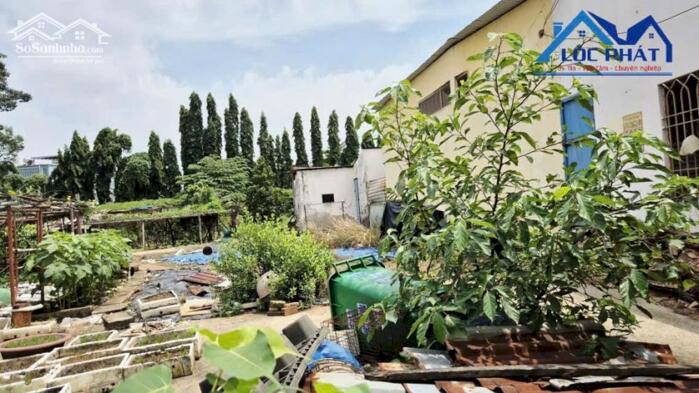 Hình ảnh Bán đất 2 mặt tiền đường tại Phường Long Hưng Đồng Nai 1