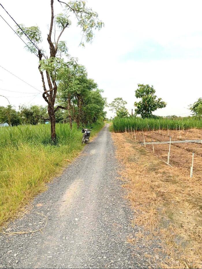 Hình ảnh 2,1 công đất nền gần HL07 Bình Ân, Gò Công Đông , Tiền Giang giá 850tr/1000m2 0