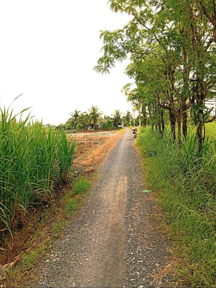 Hình ảnh 2,1 công đất nền gần HL07 Bình Ân, Gò Công Đông , Tiền Giang giá 850tr/1000m2 1
