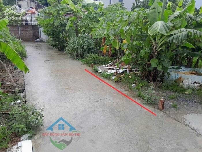 Hình ảnh Bán đất Phượng Mỹ Mỹ Hưng Thanh Oai – Sát KĐT Mỹ Hưng, 52m2 giá Đầu Tư, An Sinh Đỉnh 0