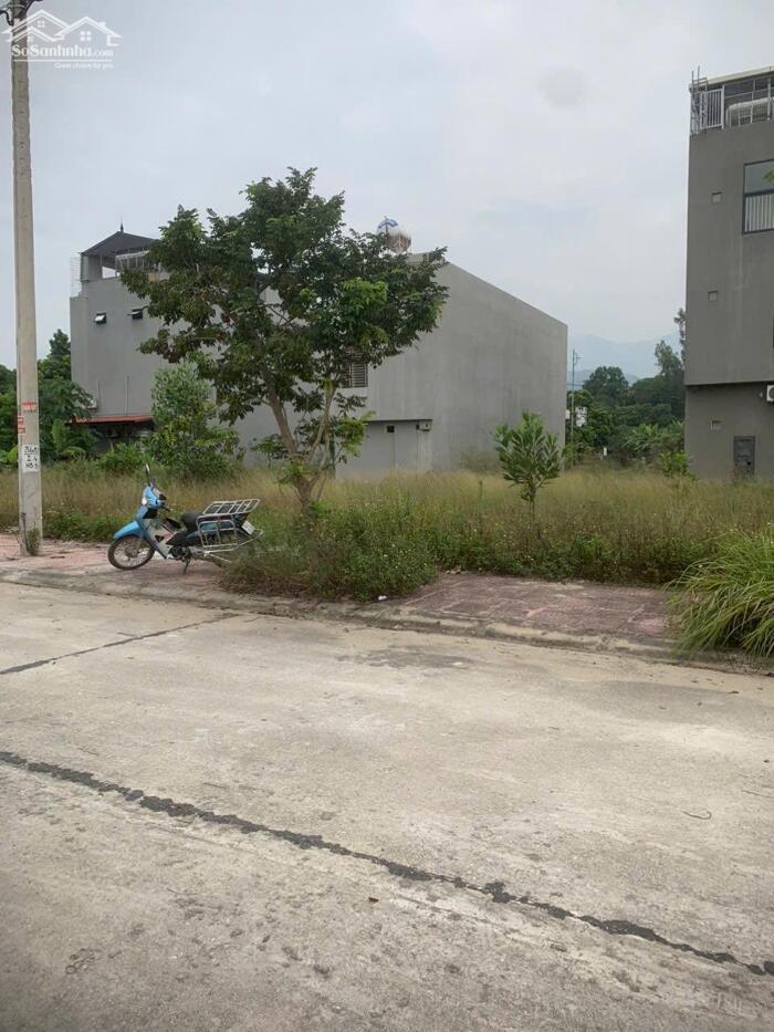 Hình ảnh Bán lô A38 đấu giá Cầu Tre, Hồ Sơn, Tam Đảo băng 2 DT302 2