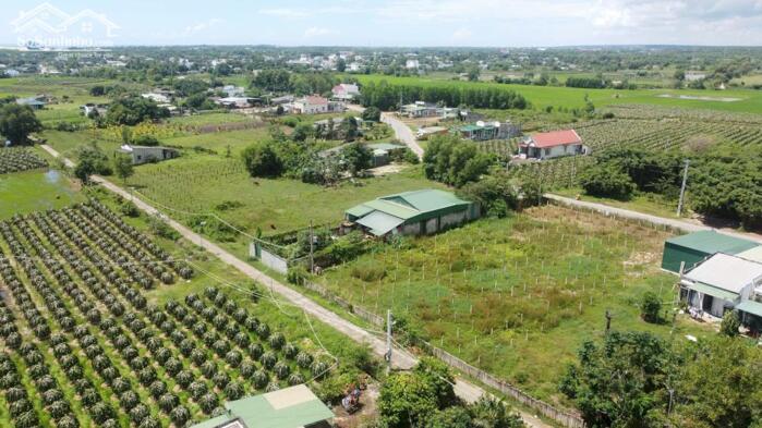 Hình ảnh 12x60(720m2) Nguyễn Minh Châu Tân Tiến Gần Biển Giá Cực Rẻ 5