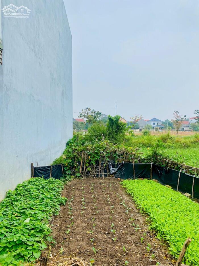 Hình ảnh Bán ô đất đấu giá khu chỉ huy quân sự Tỉnh, phường Đồng Tâm, Vĩnh Yên, Vĩnh Phúc. Đường 19,5m 0