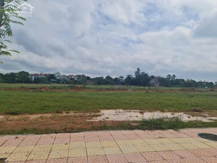 Hình ảnh Đất biệt thự Nam Vĩnh Yên. Băng 2 đường 33m 1