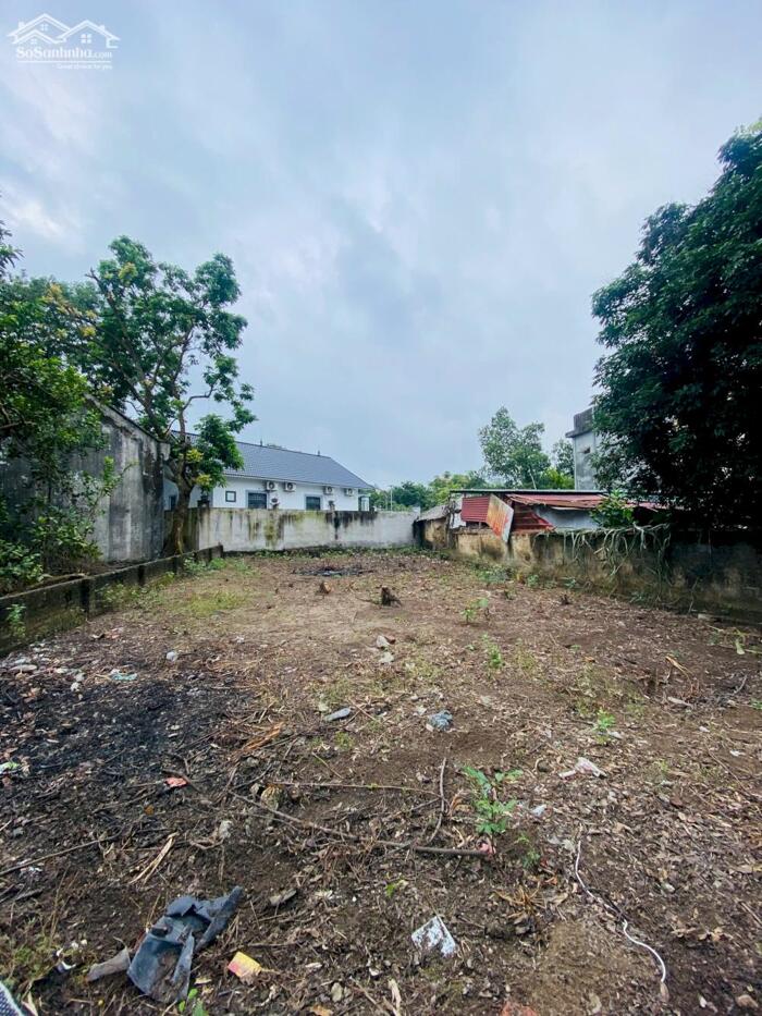 Hình ảnh Bán đất xóm Chám, Định Trung, Vĩnh Yên. DT 271m2 có thể đầu tư tách làm đôi. 4