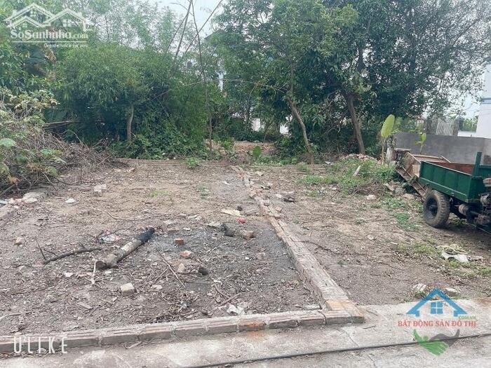 Hình ảnh Bán đất Tam Hưng Thanh Oai, 40m2, tài chính Nhỏ nhỉnh 3 tỷ, Tiện ích ngập tràn 1