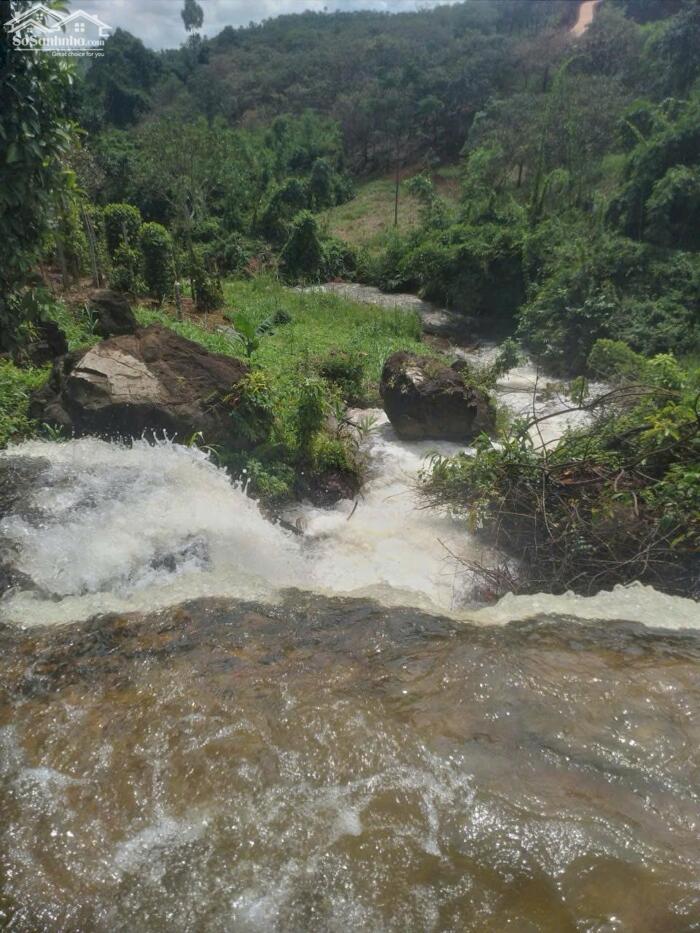 Hình ảnh Thác suối đá 4,5 sào giá rẻ gần sát Trung Tâm Gia Nghĩa 2