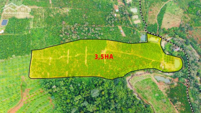 Hình ảnh 3,5ha cực phẩm cà phê và tiêu + view suối tại phường Đông Gia Nghĩa 0