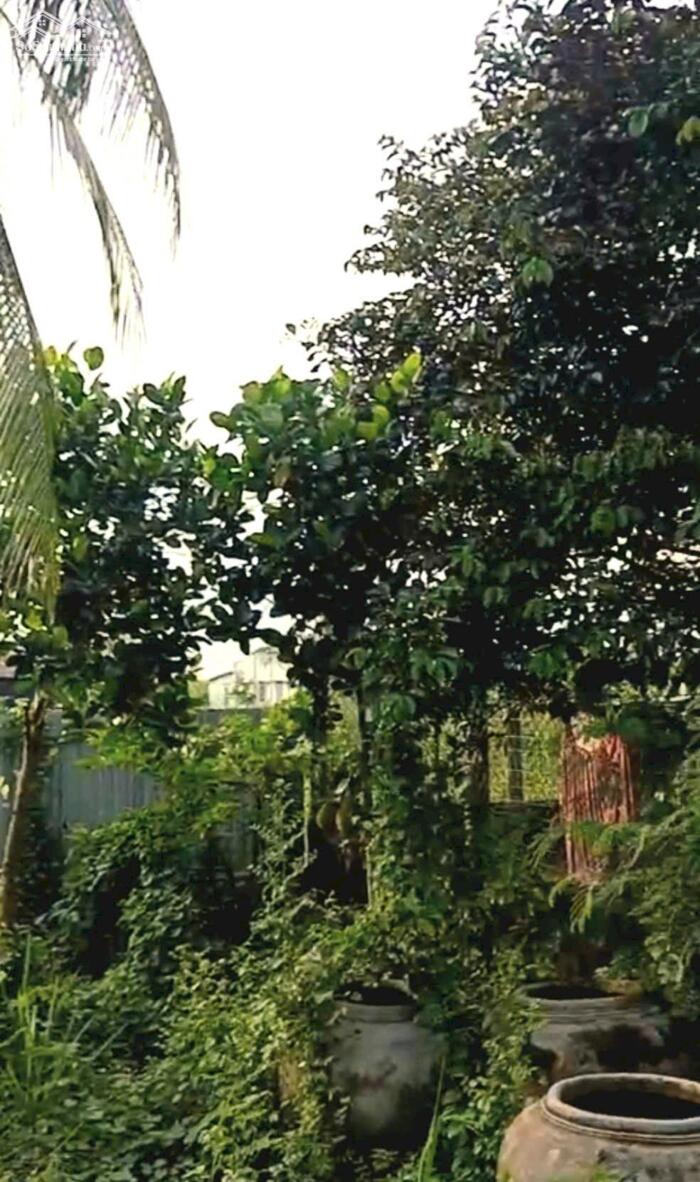 Hình ảnh B.á.n nhà mặt tiền nhựa HL07 đoạn gần Chợ Tân Điền, Gò Công Đông , Tiền Giang giá 810tr 4