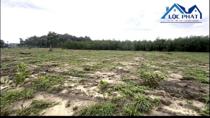 Hình ảnh Cần bán lô đất gần Cổng trước sân bay Long Thành 47.000m2 giá chỉ 108 tỷ 1