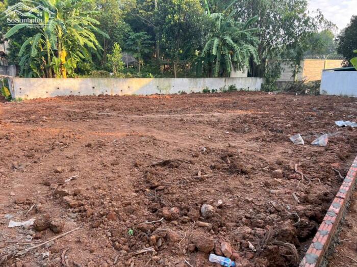 Hình ảnh Bán đất xây biệt thự khu B Nam Đầm Vạc, Vĩnh Yên, Vĩnh Phúc. Dt 200m2 giá rẻ, hướng Đông 2