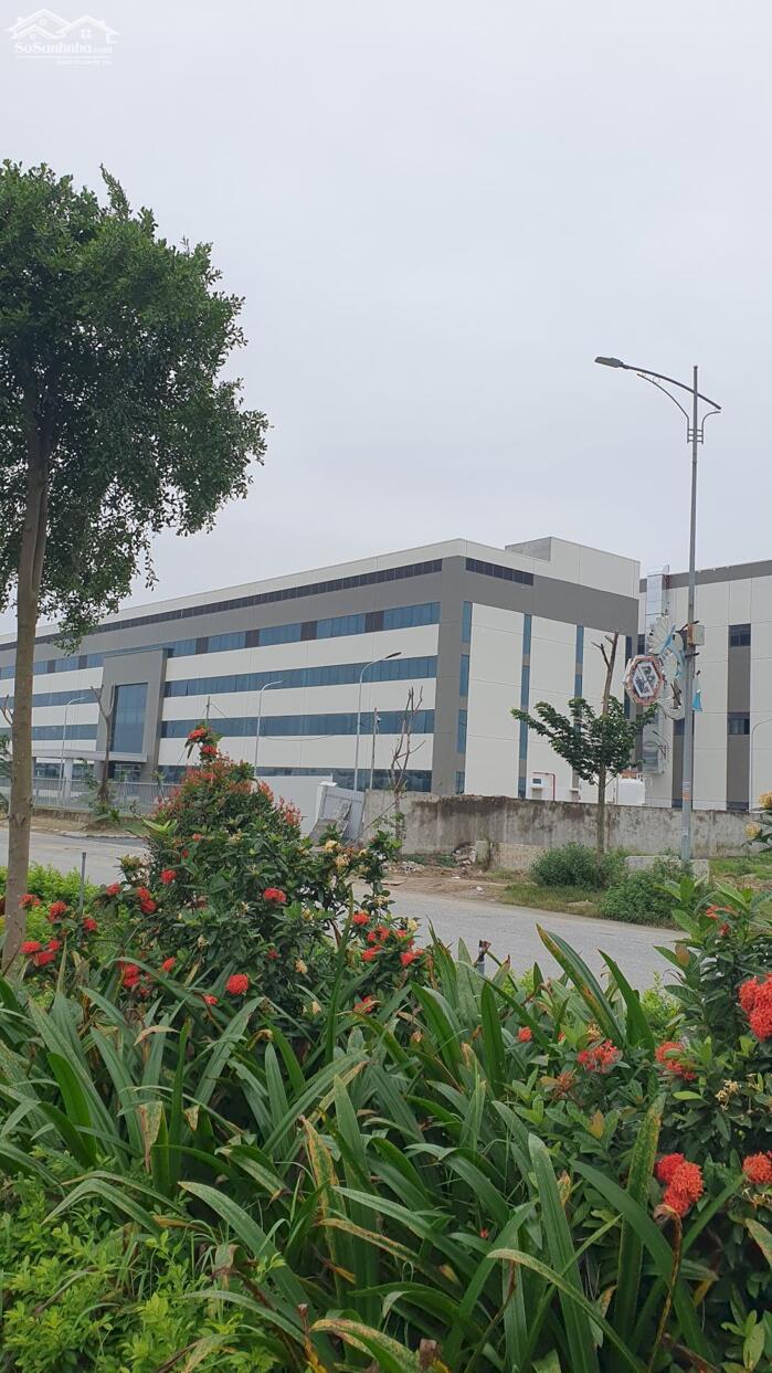 Hình ảnh ĐẤT DỰ ÁN QL17, NHÂN THẮNG, BẮC NINH VÙNG ĐẤT ĐẮC ĐỊA TIỀM NĂNG BẬC NHẤT KHU VỰC HÀNG KHÔNG & KCN 1