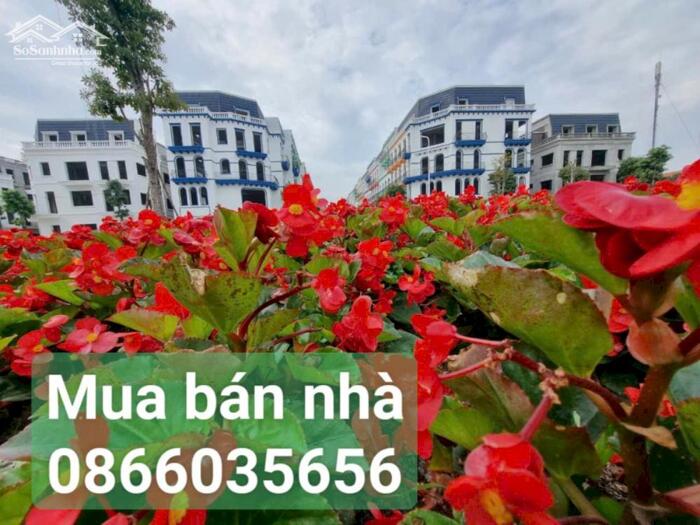 Hình ảnh BÁN CĂN SHOPHOUSE TRỤC CHÍNH SKYGARDEN VĨNH YÊN GIÁ HỢP LÝ NHẤT 0866035656 0