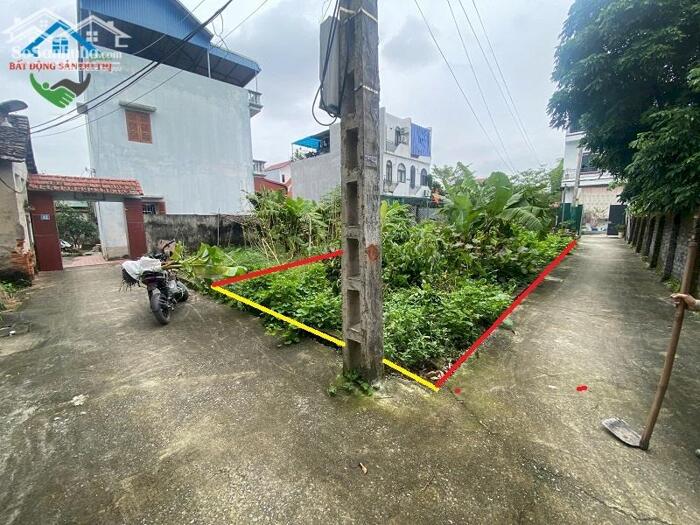 Hình ảnh Thoát Vốn - Bán đất Đại Định Tam Hưng Thanh Oai, 67m2 gần nhiều tiện ích, giá đầu tư 2