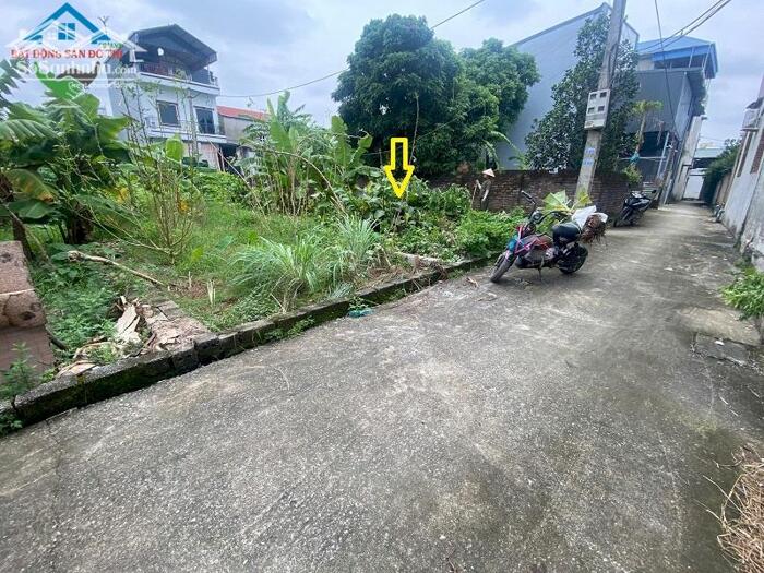 Hình ảnh Thoát Vốn - Bán đất Đại Định Tam Hưng Thanh Oai, 67m2 gần nhiều tiện ích, giá đầu tư 1