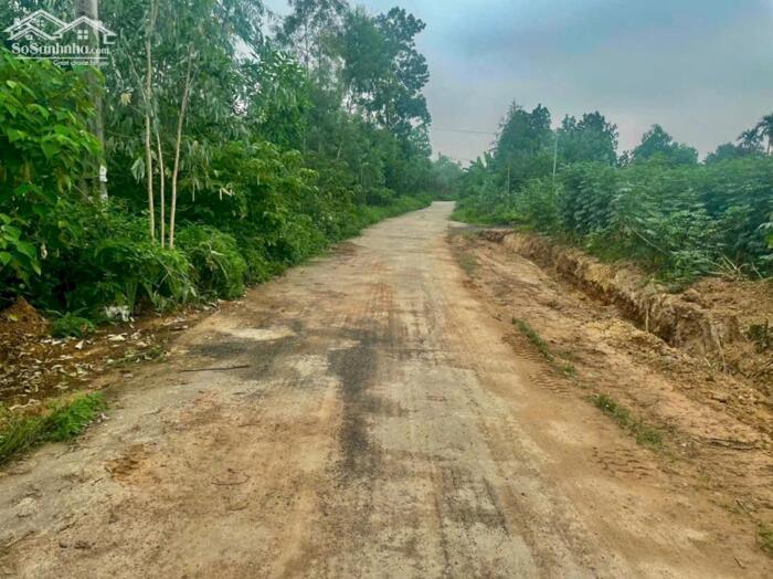 Hình ảnh Bán lô 1500m2, mt 26m băng 2 đường 310 Đạo Tú, Tam Dương lh_0987673102 0