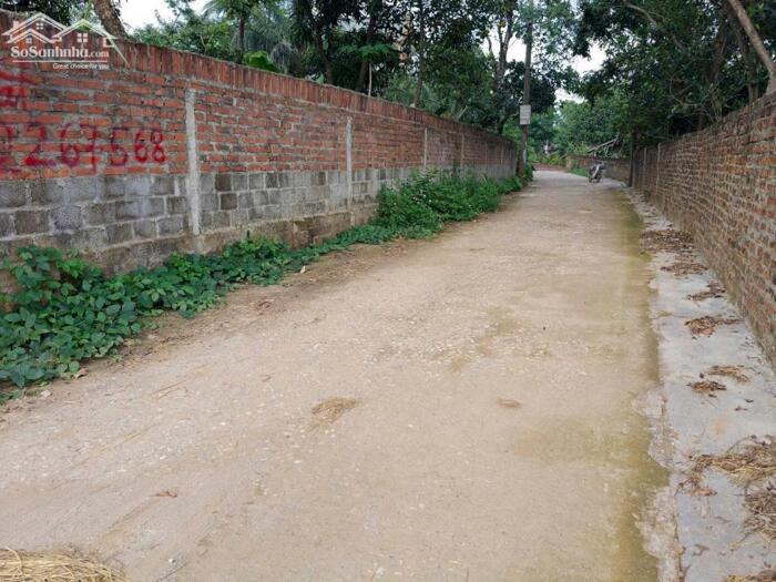 Hình ảnh Bán lô 108m2, mt 7.5m Làng Mấu, Tam Quan, Tam Đảo giá rẻ lh_0987673102 0
