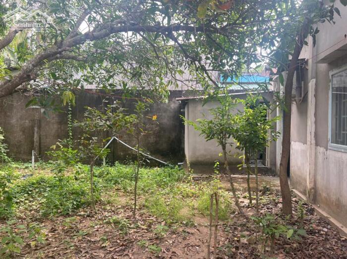 Hình ảnh Bán nhà Phường Thanh Đức, Long Hồ, Vĩnh Long 3