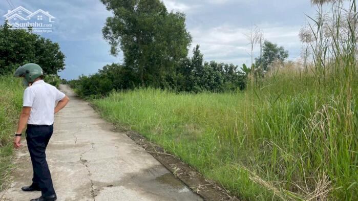 Hình ảnh 250tr b.á.n đất thổ cư sát bên QL50 – cầu Mỹ Lợi, TP Gò Công, Tiền Giang cũ 3