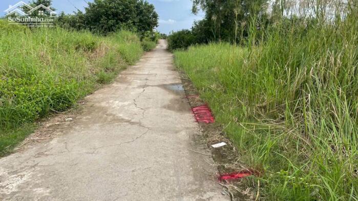 Hình ảnh 250tr b.á.n đất thổ cư sát bên QL50 – cầu Mỹ Lợi, TP Gò Công, Tiền Giang cũ 2