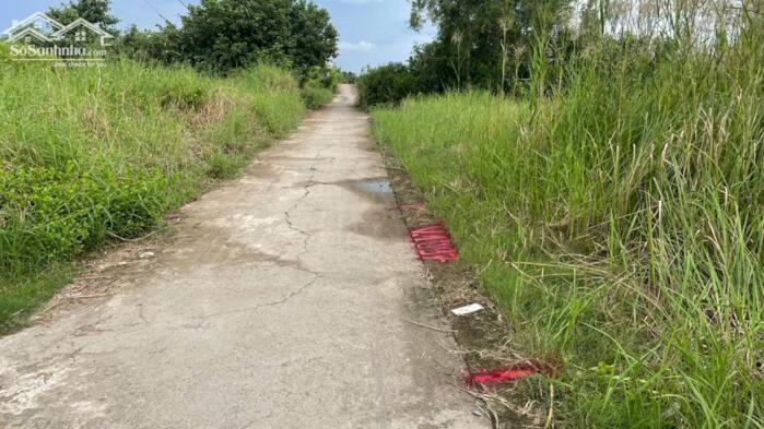 Hình ảnh 250tr b.á.n đất thổ cư sát bên QL50 – cầu Mỹ Lợi, TP Gò Công, Tiền Giang cũ 1