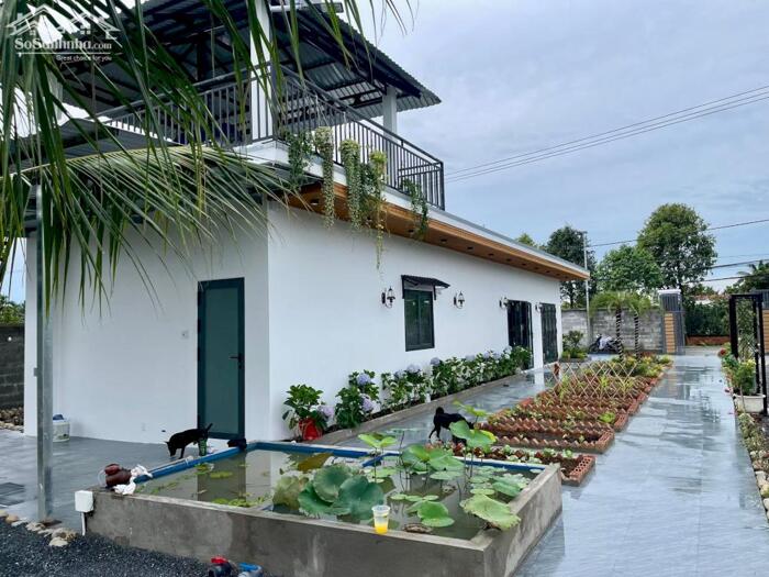 Hình ảnh Nhà vườn Mt Nguyễn Văn Nhâm, Nhơn Thạnh Trung TP Tân An 3