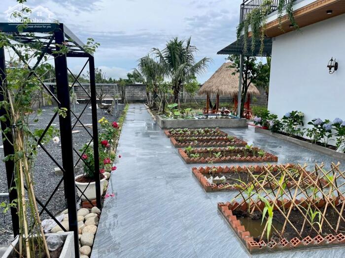 Hình ảnh Nhà vườn Mt Nguyễn Văn Nhâm, Nhơn Thạnh Trung TP Tân An 2