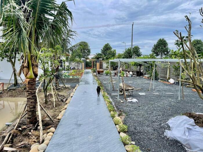 Hình ảnh Nhà vườn Mt Nguyễn Văn Nhâm, Nhơn Thạnh Trung TP Tân An 5