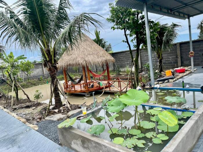 Hình ảnh Nhà vườn Mt Nguyễn Văn Nhâm, Nhơn Thạnh Trung TP Tân An 6