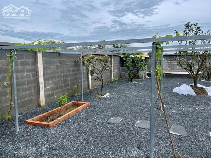 Hình ảnh Nhà vườn Mt Nguyễn Văn Nhâm, Nhơn Thạnh Trung TP Tân An 4