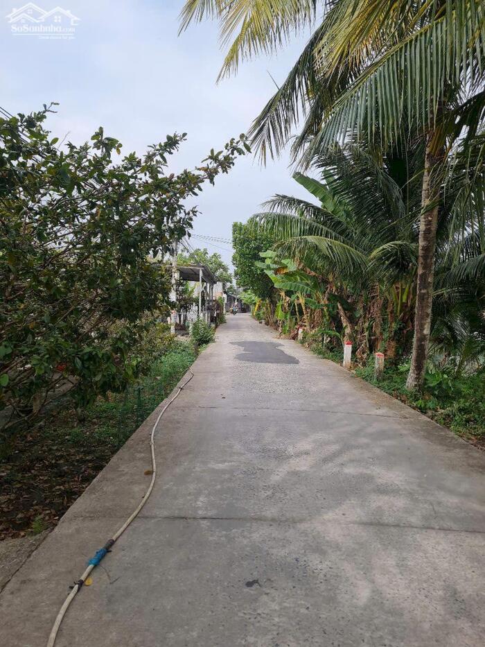 Hình ảnh Bán nền thổ cư 100% diện tích đẹp ngang 5m dài 20m sổ hồng 0