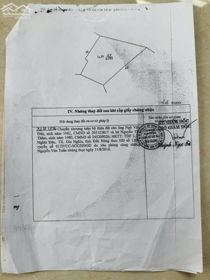 Hình ảnh 1ha nhà mái thái bằng đẹp, khu dân cư đông, đường bê tông tận nơi 2