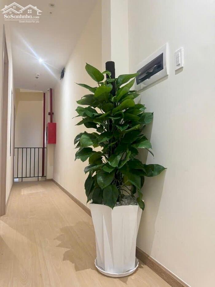 Hình ảnh CHDV mặt tiền đường 12m 98m2 (4x25) ngay chợ đêm 6 lầu TMáy 12 căn hộ TN60tr chỉ 16 tỷ 7