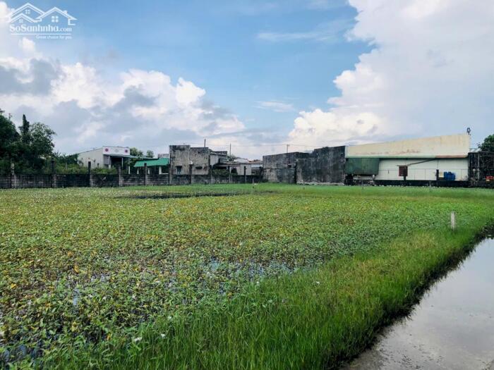 Hình ảnh 5x30(146m2) Full Thổ Cư, Hẻm Lê Minh Công Tân Phước LaGi Gần Biển Giá 1 Tỷ 1