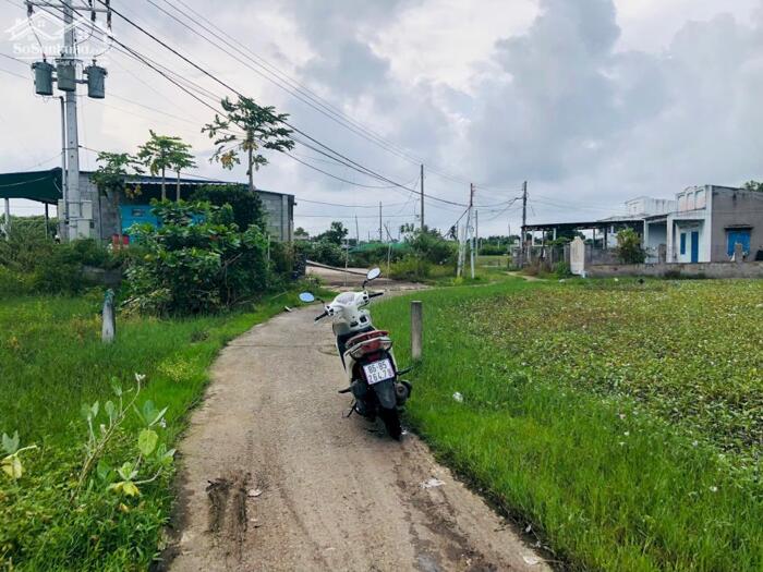 Hình ảnh 5x30(146m2) Full Thổ Cư, Hẻm Lê Minh Công Tân Phước LaGi Gần Biển Giá 1 Tỷ 2