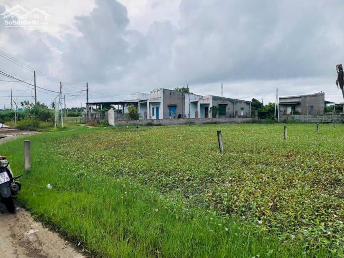 Hình ảnh 5x30(146m2) Full Thổ Cư, Hẻm Lê Minh Công Tân Phước LaGi Gần Biển Giá 1 Tỷ 3