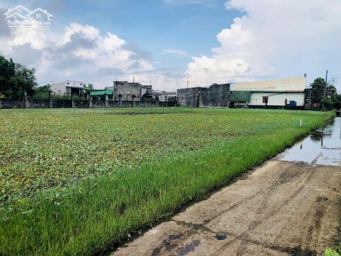 Hình ảnh 5x30(146m2) Full Thổ Cư, Hẻm Lê Minh Công Tân Phước LaGi Gần Biển Giá 1 Tỷ 0