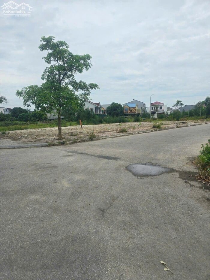 Hình ảnh Bán lô 142m2 khu đấu giá khối 6 Quán Bàu, ngõ đường Hàn Quốc, TP Vinh 2