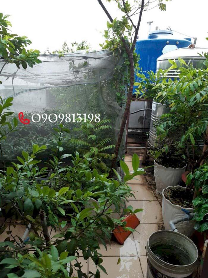 Hình ảnh Bán Nhà Bình Tân Chính Chủ SHR 4 Tầng – Ở Ngay! 0