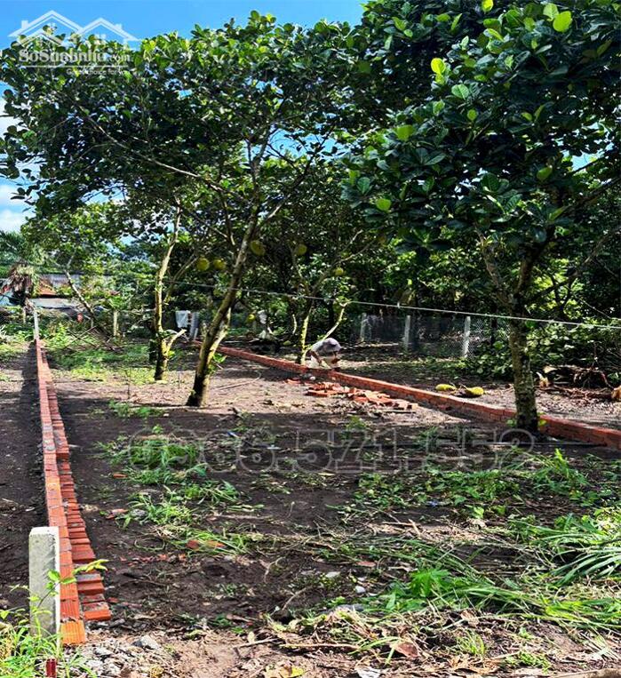 Hình ảnh Bán Đất Thổ Cư, 1 Sẹc Đường Hàm Nghi, P Bảo Vinh, Đồng Nai, Giá Chỉ 870tr 2