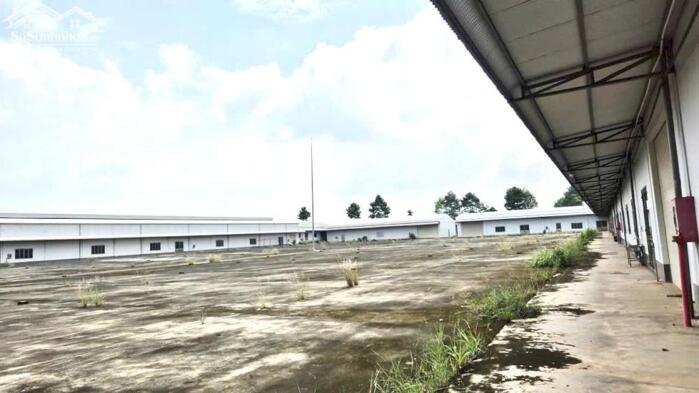 Hình ảnh Bán nhà xưởng 40.000m2 full SKC giá rẻ chỉ 65 tỷ. Trảng Bom-Đồng Nai 4