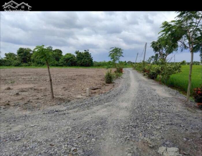 Hình ảnh Đất thổ hàng F0 giá rẻ đầu tư 150m2 mt xe hơi xã Phước Đông chỉ 750tr/nền 1
