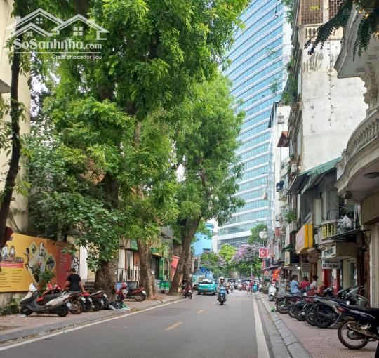 Hình ảnh Mặt Phố Phó Đức Chính 48M2 Mặt Tiền 4,56M 26.9 Tỷ 2 Mặt Phố trước sau 0